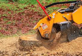 Professional Tree Care in Murphys Estates, SC